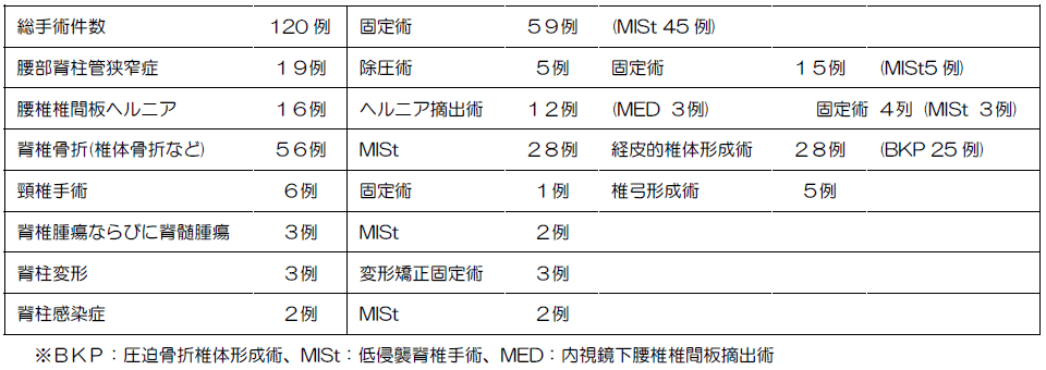 2013年４月から2014年9月までの主な脊椎手術実績