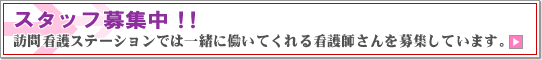 スタッフ募集中！